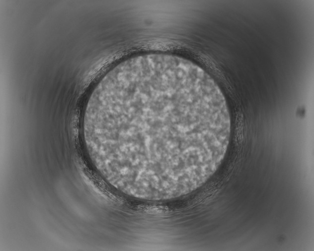 X0000114540683200911301202