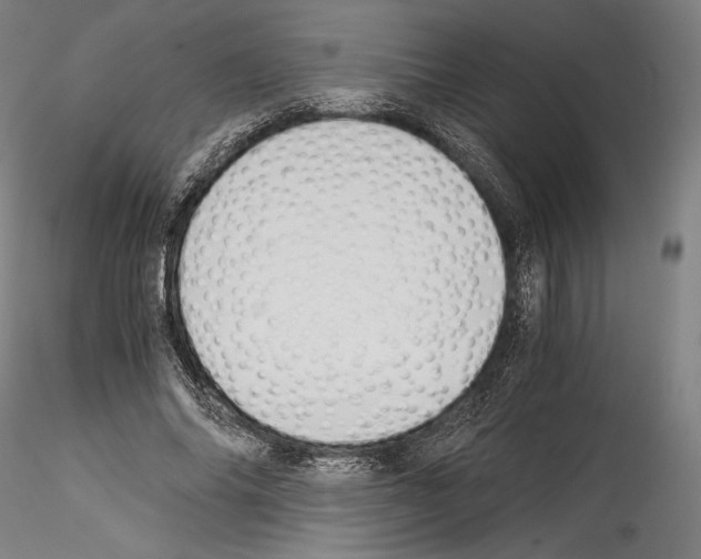 X0000114540686200911301202