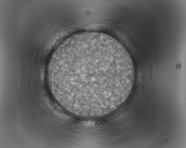 X0000114540687200911301202