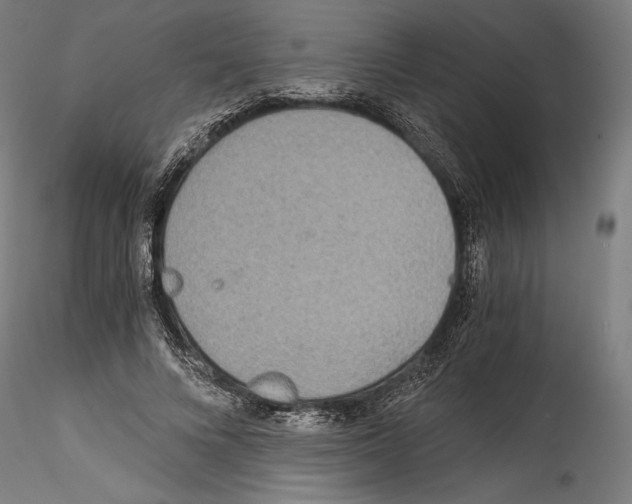 X0000114540688200911301202