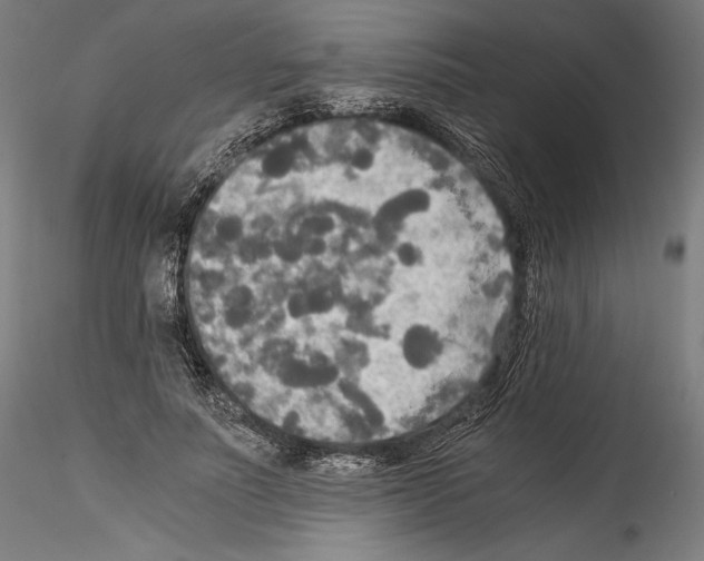 X0000114540691200911301202