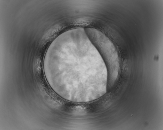 X0000114540692200911301202