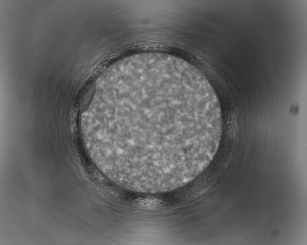 X0000114540695200911301202