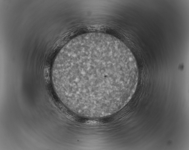 X0000114540699200911301202