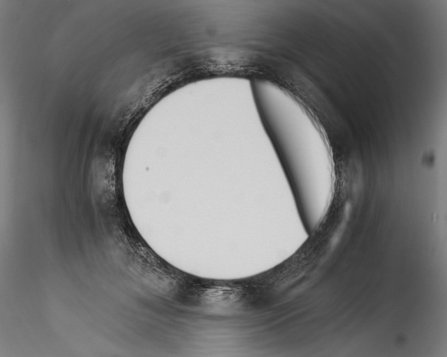 X0000114540700200911301202