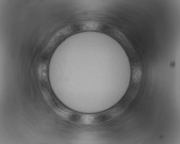 X0000114540701200911301202