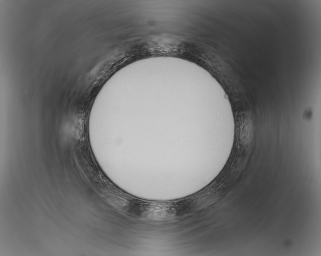 X0000114540709200911301202