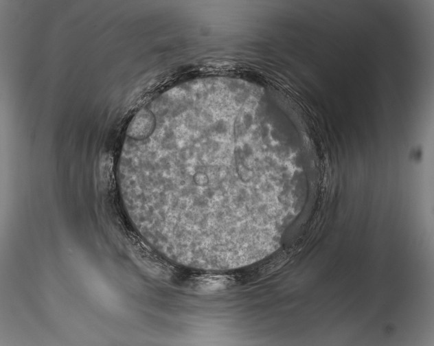 X0000114540711200911301202