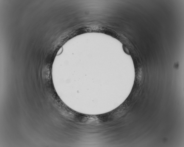 X0000114540715200911301202