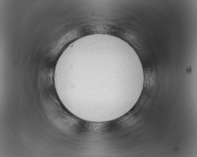 X0000114540717200911301202