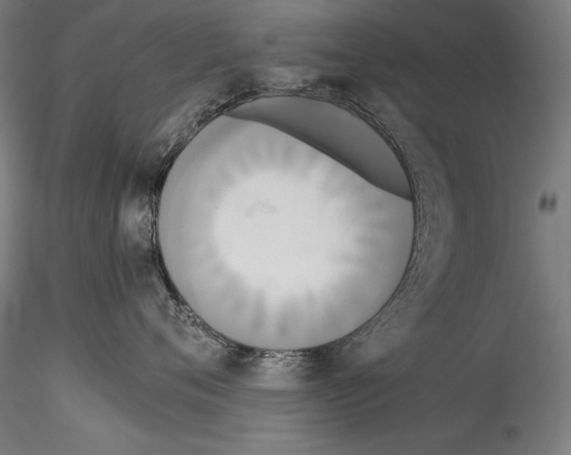 X0000114540720200911301202