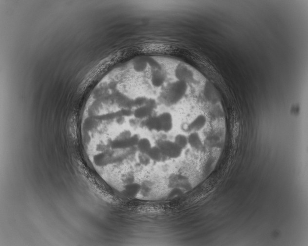 X0000114540729200911301201