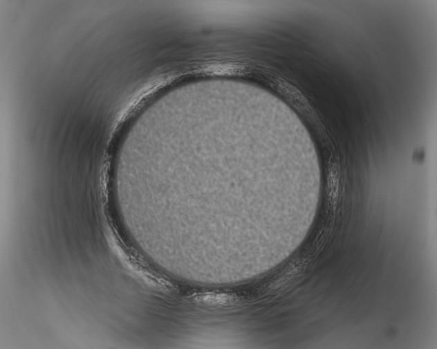 X0000114540730200911301201