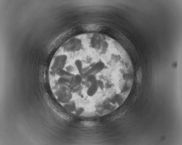 X0000114540733200911301201