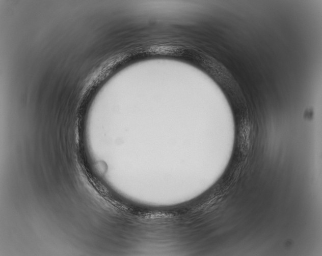 X0000114540734200911301201