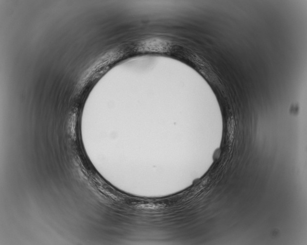 X0000114540735200911301201