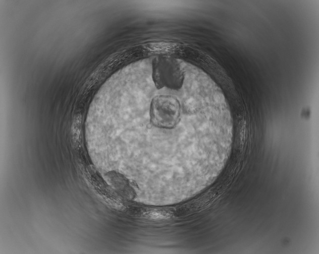 X0000114540737200911301201