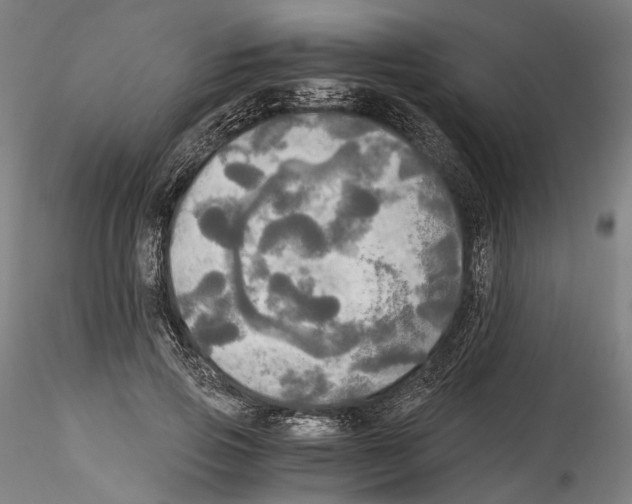 X0000114540741200911301201