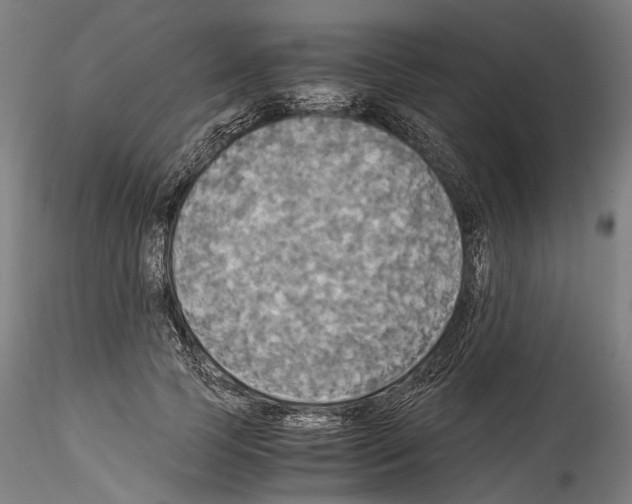 X0000114540745200911301201