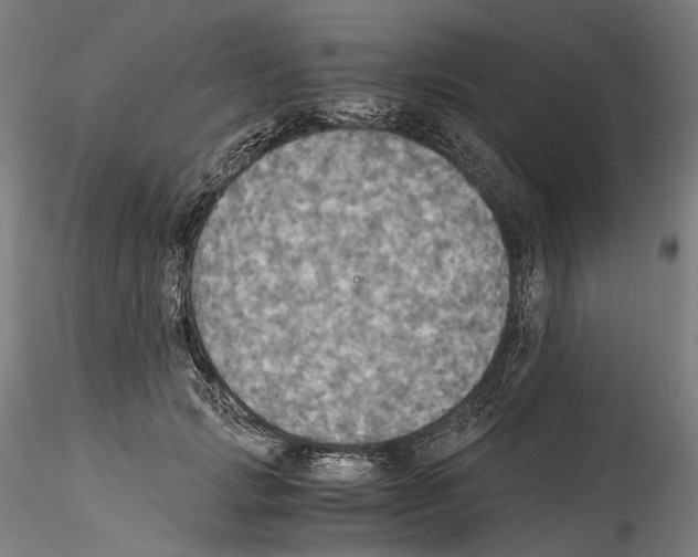 X0000114540749200911301201