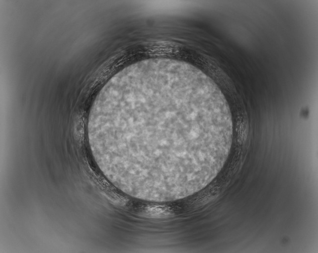 X0000114540753200911301201