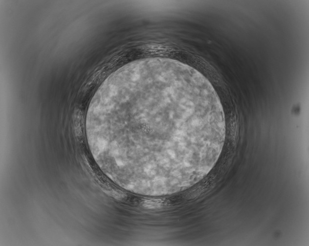 X0000114540757200911301201