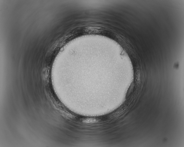 X0000114540759200911301201