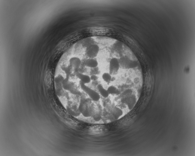 X0000114540761200911301202