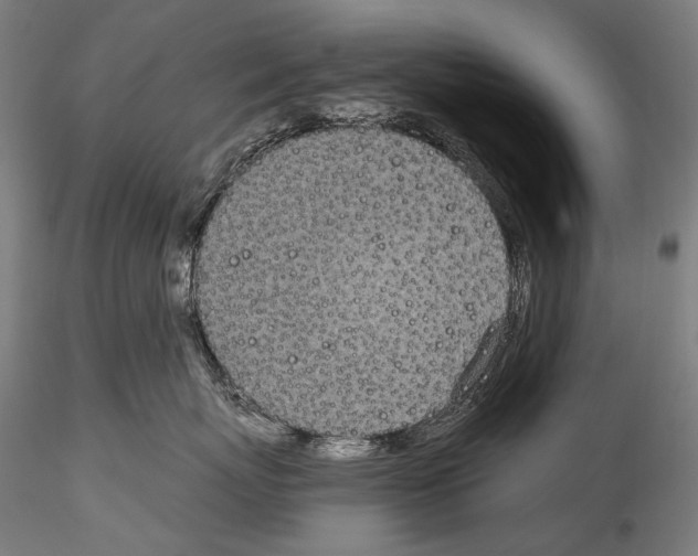 X0000114540767200911301202