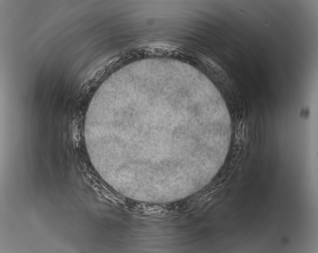 X0000114540774200911301201