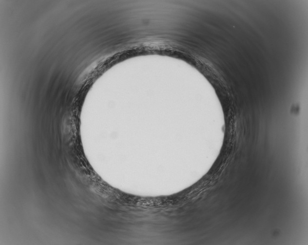 X0000114540776200911301201