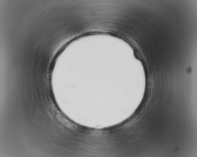 X0000114540779200911301201