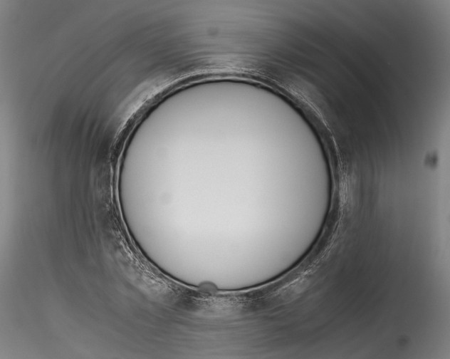 X0000114540781200911301201