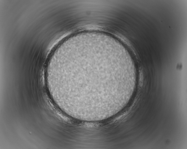 X0000114540782200911301201