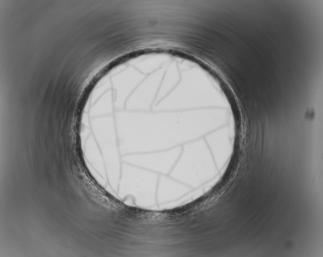 X0000114540783200911301201