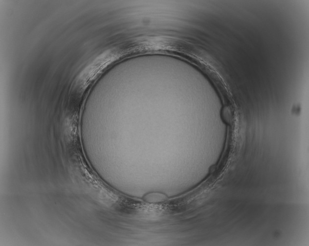 X0000114540785200911301201