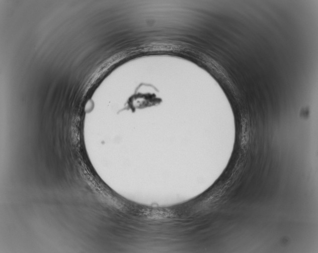 X0000114540786200911301201