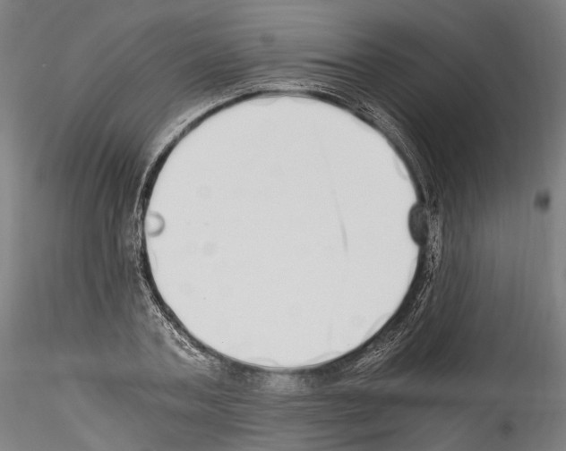 X0000114540787200911301201