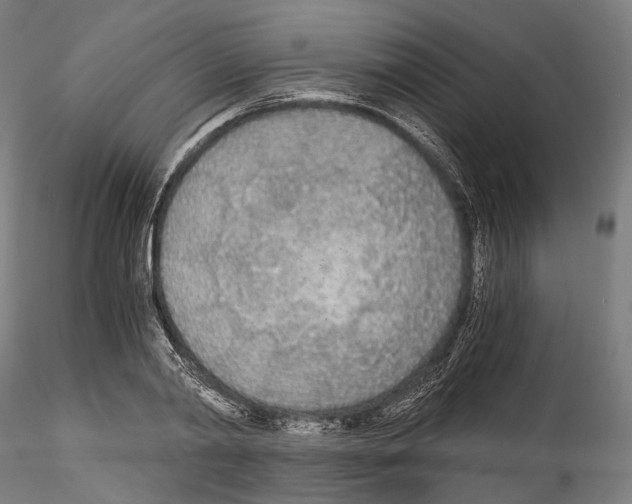 X0000114540790200911301201