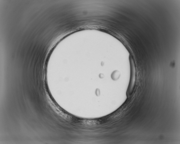 X0000114540795200911301201