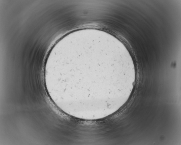 X0000114540800200911301200