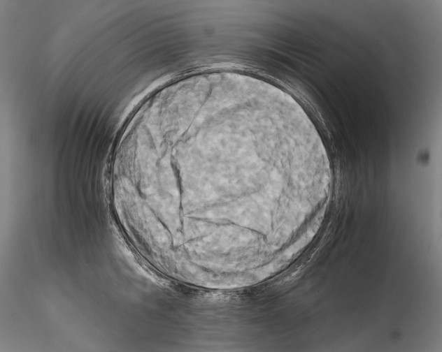 X0000114540806200911301200