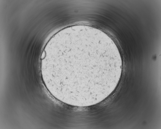 X0000114540808200911301200