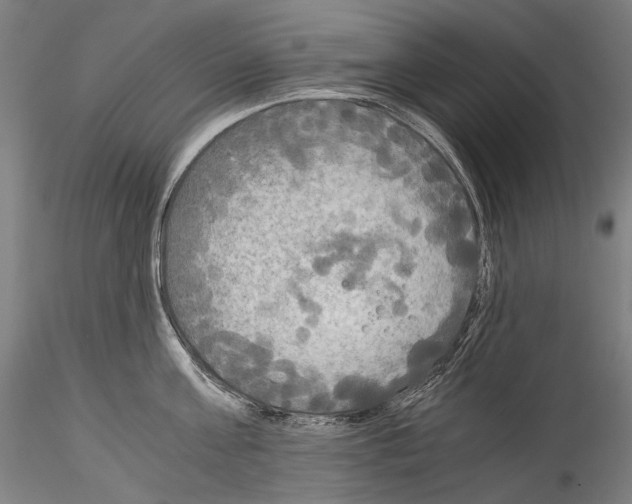 X0000114540811200911301200