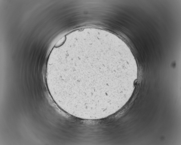 X0000114540812200911301200