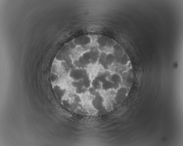 X0000114540817200911301159