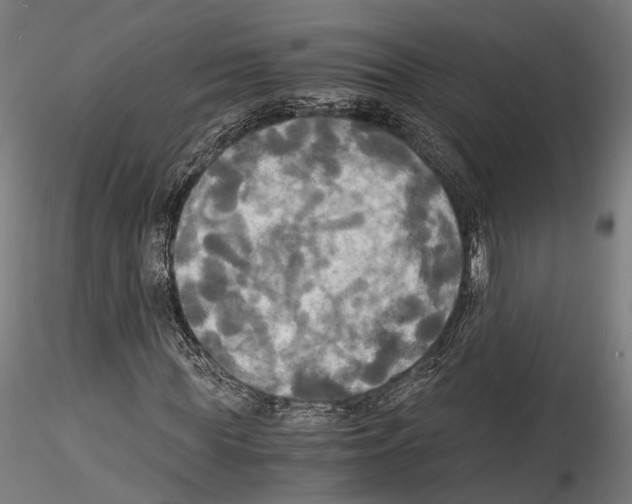 X0000114540819200911301159