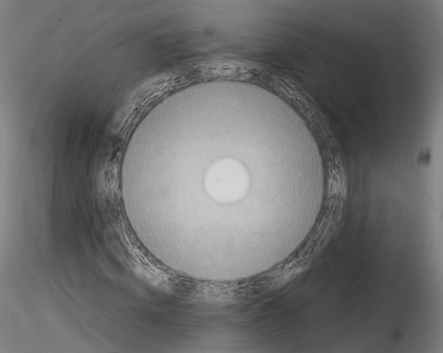 X0000114540820200911301159