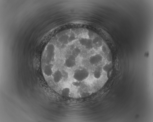 X0000114540821200911301159