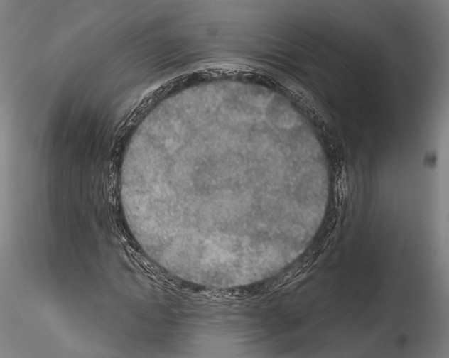 X0000114540822200911301159